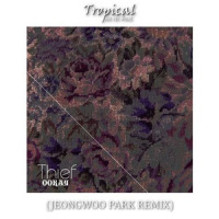 Thief_Jeongwoo Park,Ookay