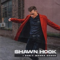 I Don't Wanna Dance_Shawn Hook
