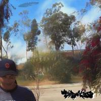 Reloaded(feat. samIAM)_$hadowstar,Samiam