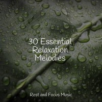 Riverside Camping_Egyptian Meditation Temple,Wellness,Musica Para Dormir y Sonidos de la Naturaleza