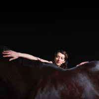 Workhorse_My Brightest Diamond
