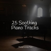 Released Tranquility_Piano Love Songs,Piano Pianissimo,Bar Lounge