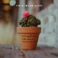Nothing Hurts Like Love for the First Time_This Wild Life
