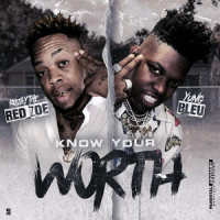 Know Your Worth_Rozay the Red Zoe,BLEU