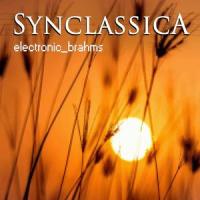 Ein deutsches Requiem, Op. 45: II. Denn alles Fleisch es ist wie Gras_Synclassica,Johannes Brahms
