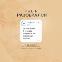 Любили меня_Malin