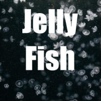 Red Spark_Fishbone