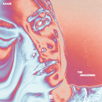 The Awakening_Kaaze