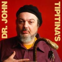 Wild Honey_Dr. John