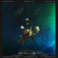 暗恋_尼斯末NISSMO,TONG刘通