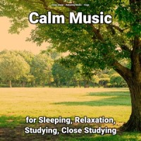 Relaxing Music for Stress Relief_Deep Sleep,Relaxing Music,Yoga