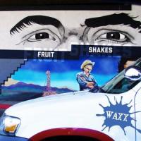 Fruit Shakes_Waxx