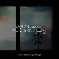 Easy Going_Spa,Yoga,Sleep Sound of Nature