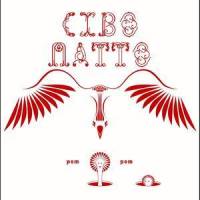 Stone_Cibo Matto