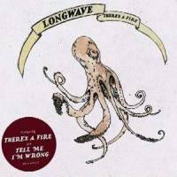 Tell Me I'm Wrong_Longwave