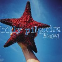 Lady in the Mist_Billy Pilgrim
