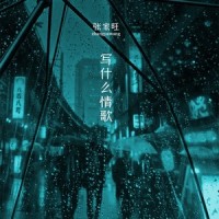 写什么情歌_张家旺