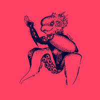 No al I.i.r.s.a._Los Crustaceos
