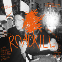 Roadkill_Emilia Pantic
