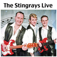 Feelin'_the Stingrays