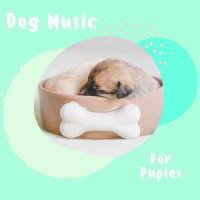Piano Based_Pet Music Therapy,Pets Love Music,Piano Peace