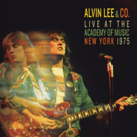 There's a Feeling_Alvin Lee