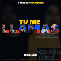 Tu Me Llamas_Deluz (feat. Alex Campos,Oveja Cosmica,La Reforma,Gilberto Daza)
