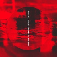 Never Stay Down_UNSECRET,Sam Tinnesz