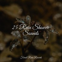 Drips n Drops_Wellness,Rain Forest FX,Water Sounds for Sleep