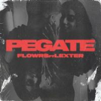 PEGATE(feat. Lexter)_Flowrs,Lexter