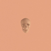 Create Your Own Reality_Pomegranates