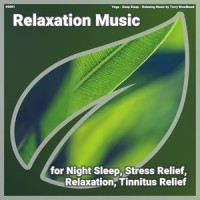 Relaxation Music, Pt. 19_Yoga,Deep Sleep,Relaxing Music by Terry Woodbead