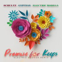 Promise For Keeps_Matthew Schultz,Gyptian,Electric Bodega