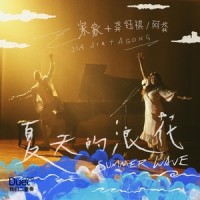 夏天的浪花_家家