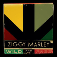 Welcome to the World_Ziggy Marley