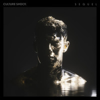 Rise (Extended Mix)_Culture Shock