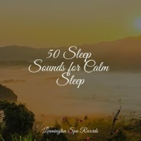 Healing Music_Spa,Musica Relaxante,Pro Sounds of Nature
