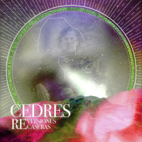 SALVAJES_CEDRES,Cocó Cecé,César Andrés Villarán,Julio Bernal,Michael Bohe