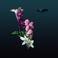 Little Voices_Lane 8