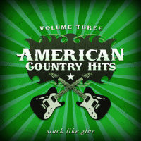 This Ain't No Love Song (As Made Famous By Trace Adkins)_Trace Adkins
