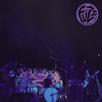 Raise_Fuzz,Ty Segall,Charles Moothart,Chad Ubovich