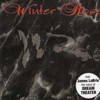 Thrill of the Night_Winter Rose