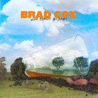 What Brought You Back_Brad Cox
