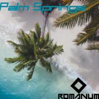 Palm Springs_Matteo Romano