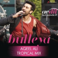 Bulleya_Pritam,Amit Mishra,Shilpa Rao,Aqeel Ali