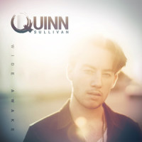 How Many Tears_Quinn Sullivan
