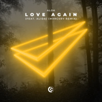 Love Again (feat. Alida)_Alok,Alida