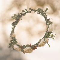 i wish that we could be in love again_eli.,Eli Lucas