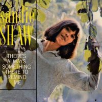 There's Always Something There to Remind Me_Sandie Shaw
