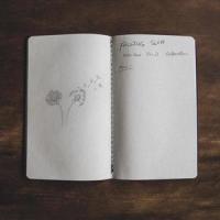 Falling Slow(feat. Nic D)_Dillon Chase,Nic D